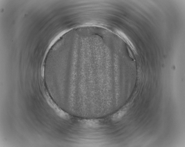 X0000081440900200701261844