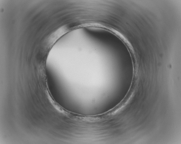 X0000081440905200701261844