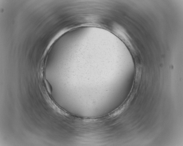 X0000081440908200701261844