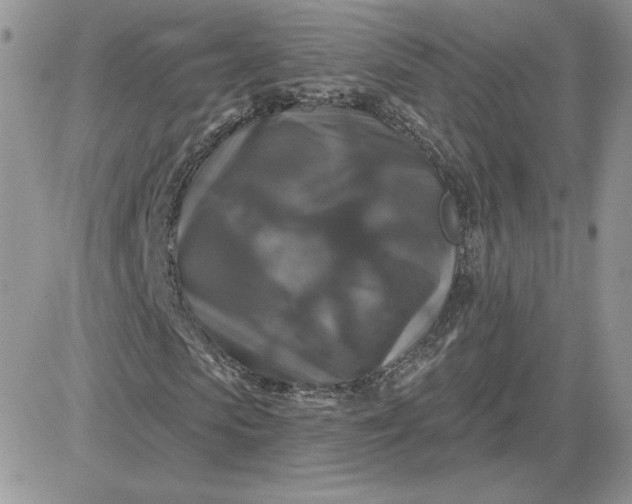 X0000081440913200701261843