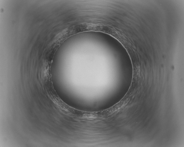 X0000081440914200701261844