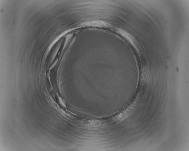 X0000081440923200701261844