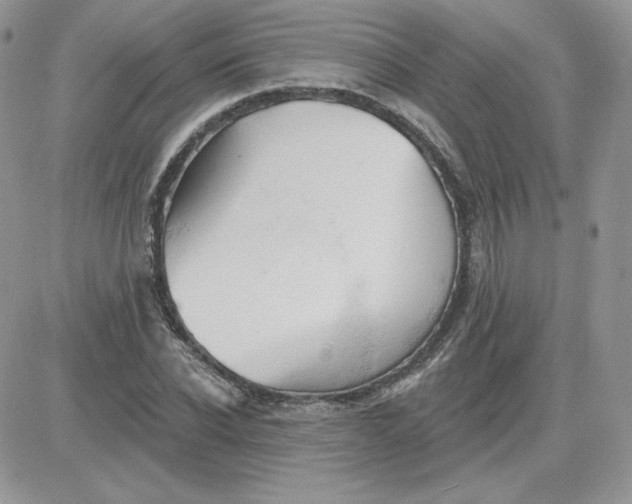 X0000081440926200701261844