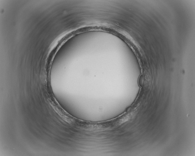 X0000081440927200701261844
