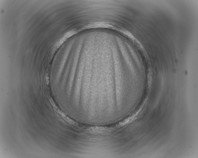 X0000081440929200701261844