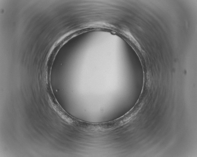 X0000081440931200701261844