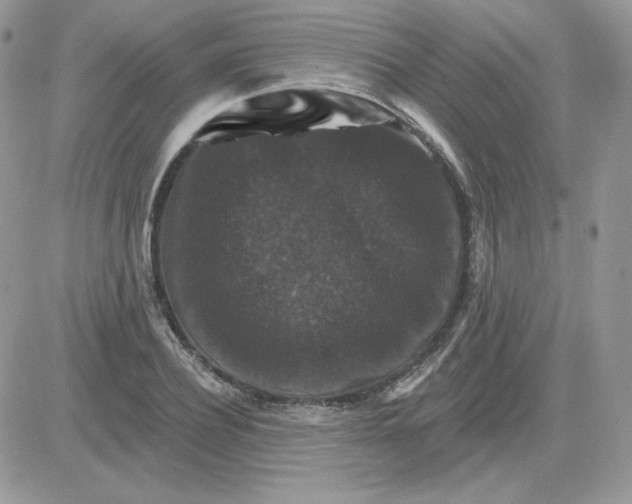 X0000081440932200701261844
