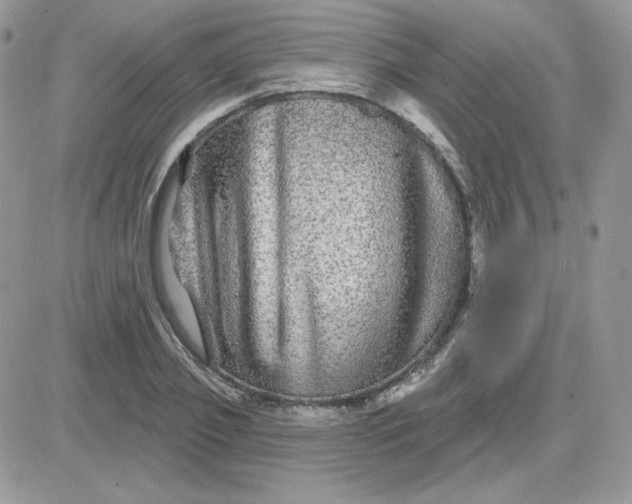 X0000081440933200701261844