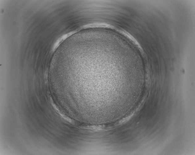 X0000081440937200701261844