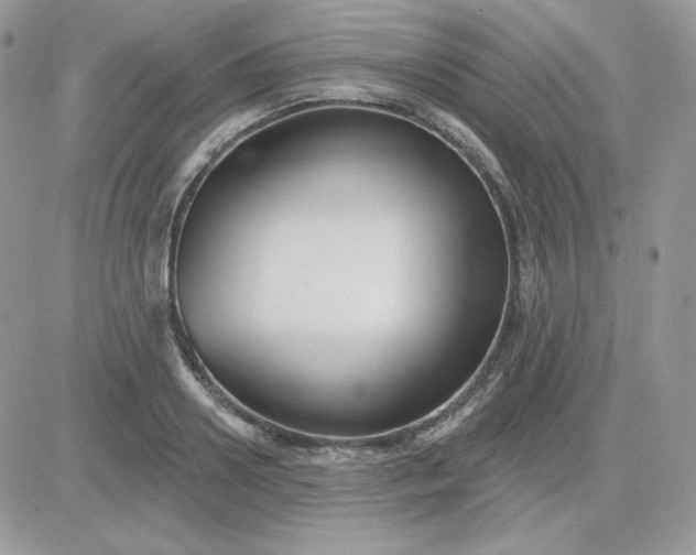 X0000081440938200701261844