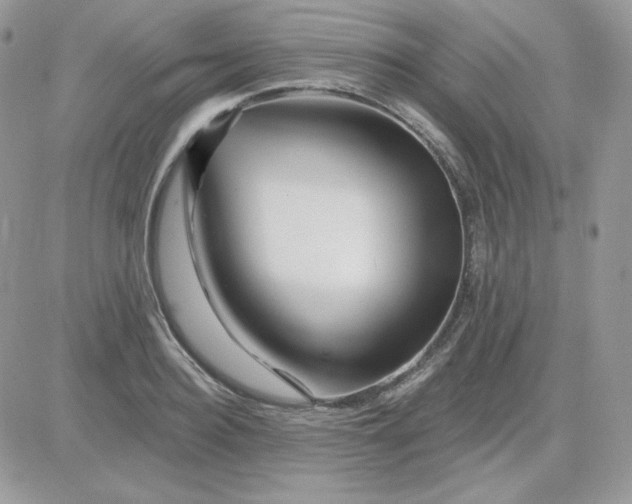 X0000081440940200701261844