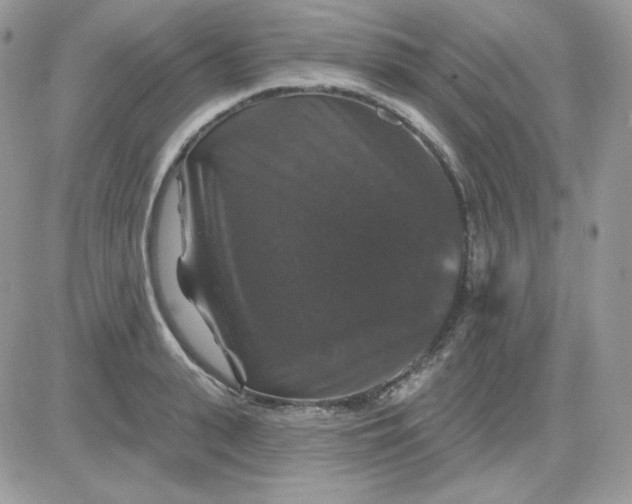 X0000081440943200701261844