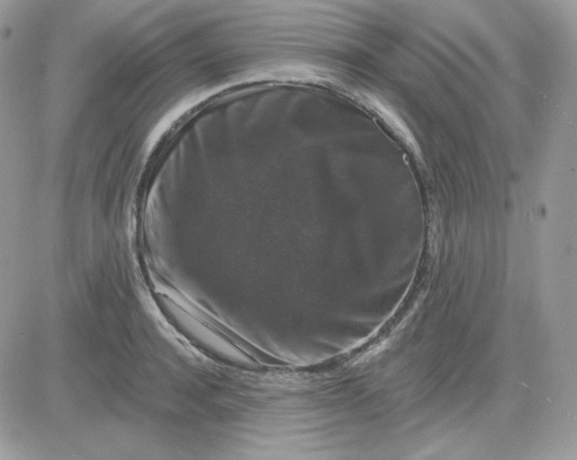 X0000081440944200701261844