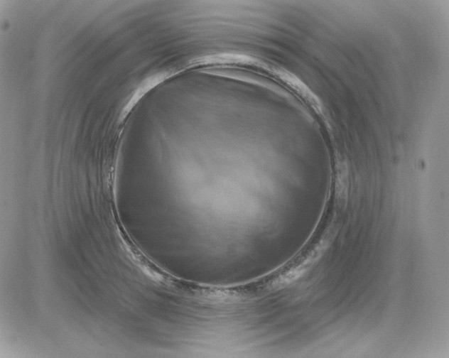 X0000081440945200701261844