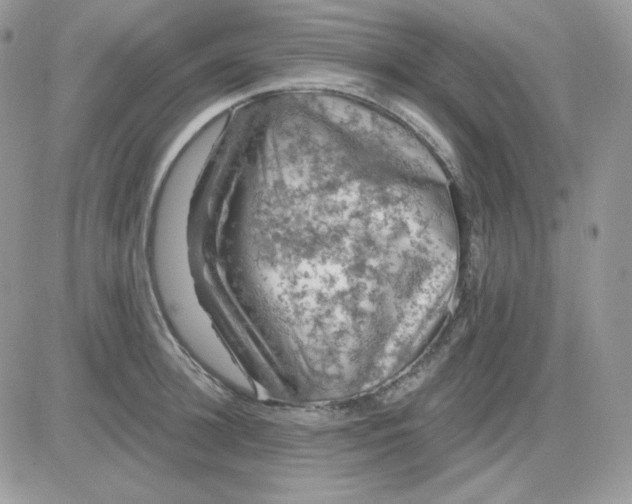 X0000081440948200701261844