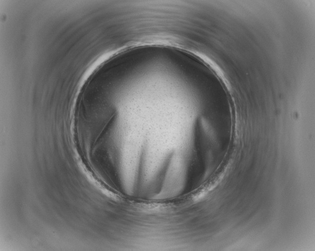 X0000081440949200701261844