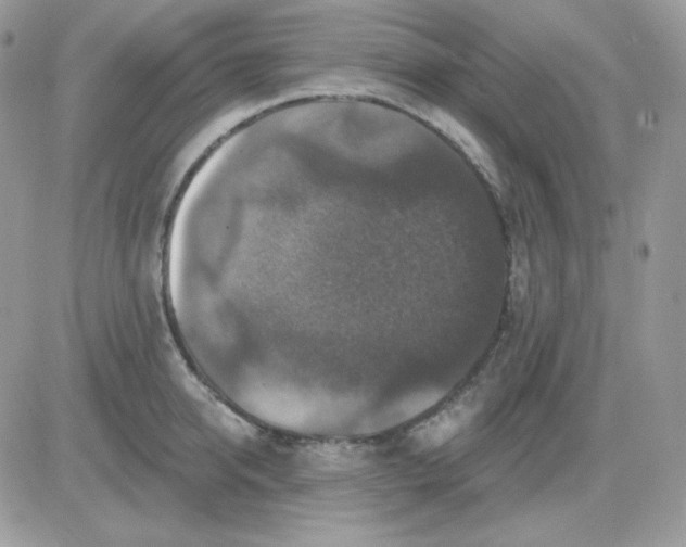 X0000081440950200701261844