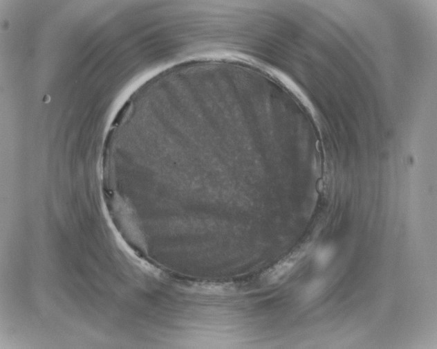 X0000081440951200701261844
