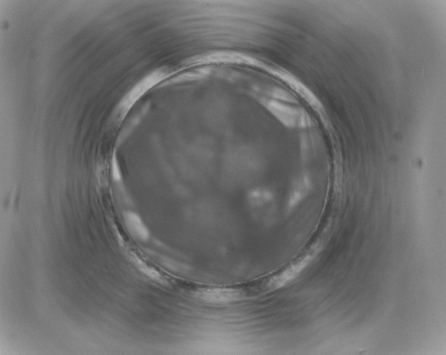 X0000081440953200701261844
