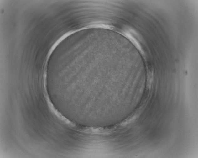 X0000081440955200701261844