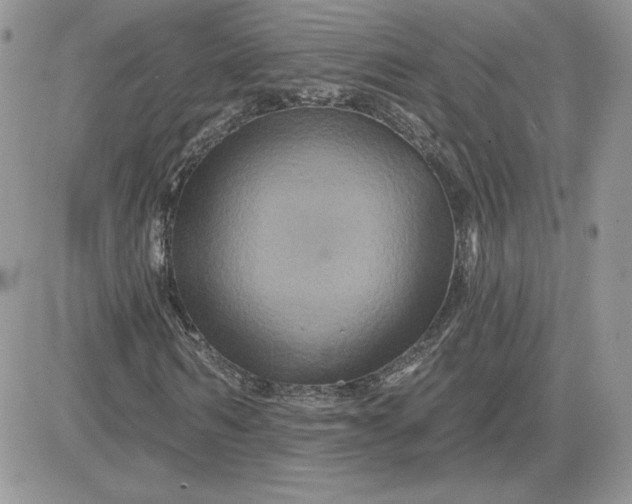 X0000081440962200701261843