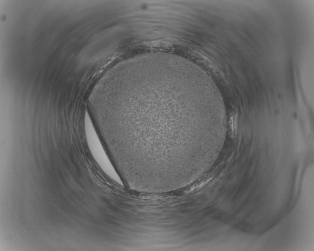 X0000081440963200701261843