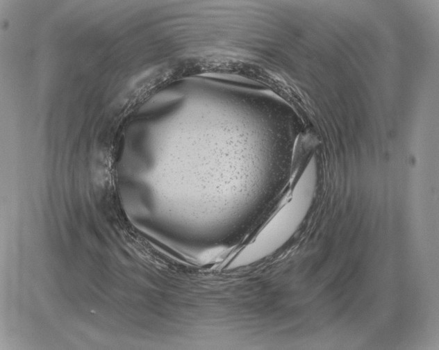 X0000081440964200701261843