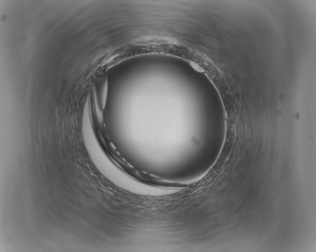 X0000081440965200701261843