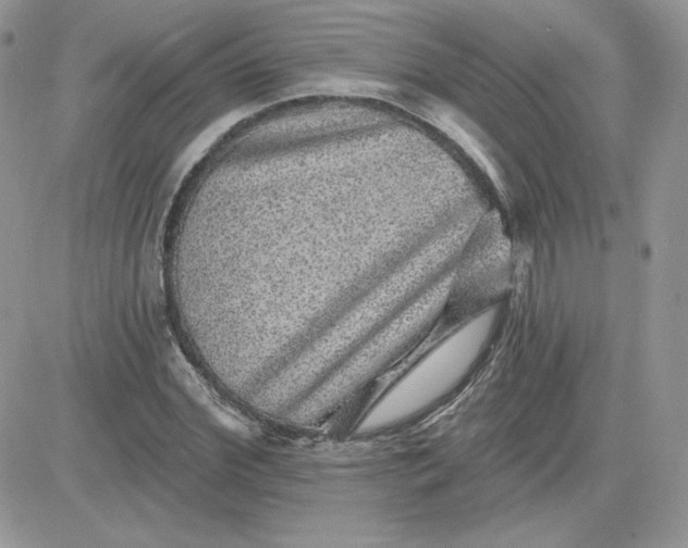 X0000081440972200701261843