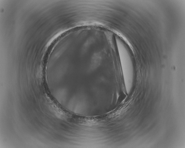 X0000081440975200701261843