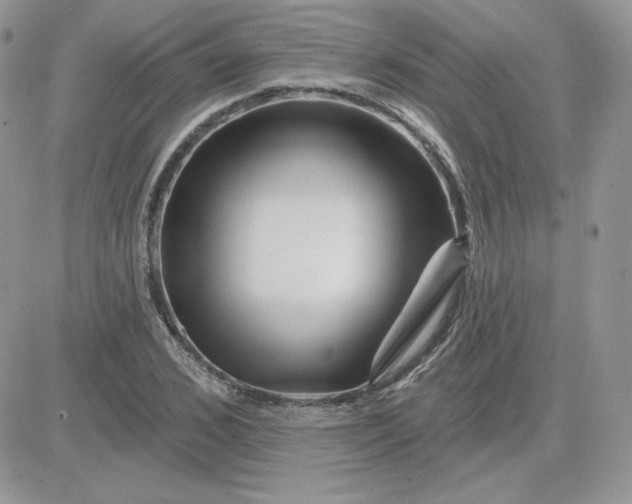 X0000081440976200701261843