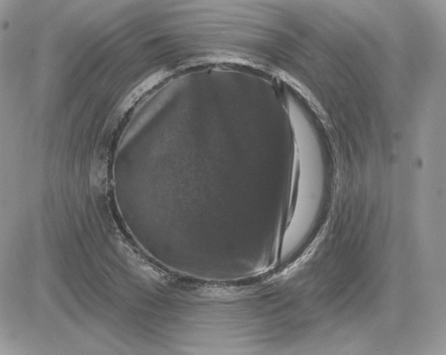 X0000081440977200701261843