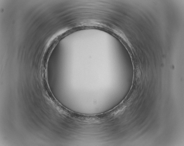 X0000081440979200701261843