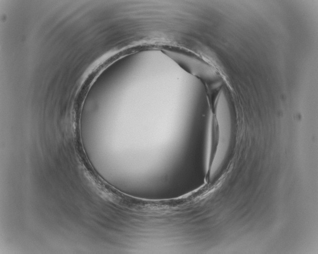 X0000081440981200701261843
