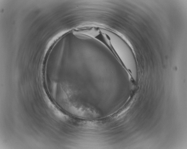 X0000081440995200701261843