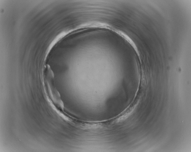 X0000081440997200701261843