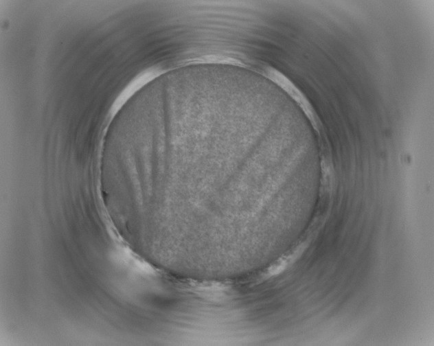 X0000081441002200701261843