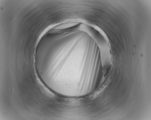X0000081441005200701261843