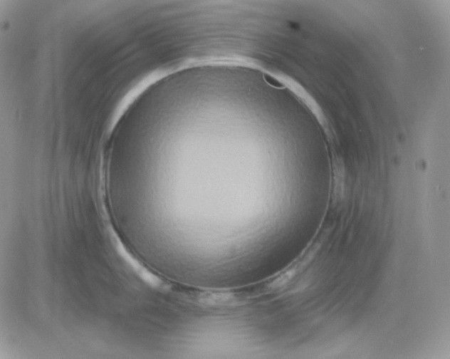 X0000081441006200701261843