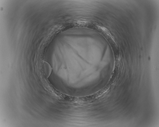 X0000081441009200701261842