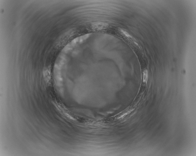 X0000081441011200701261842