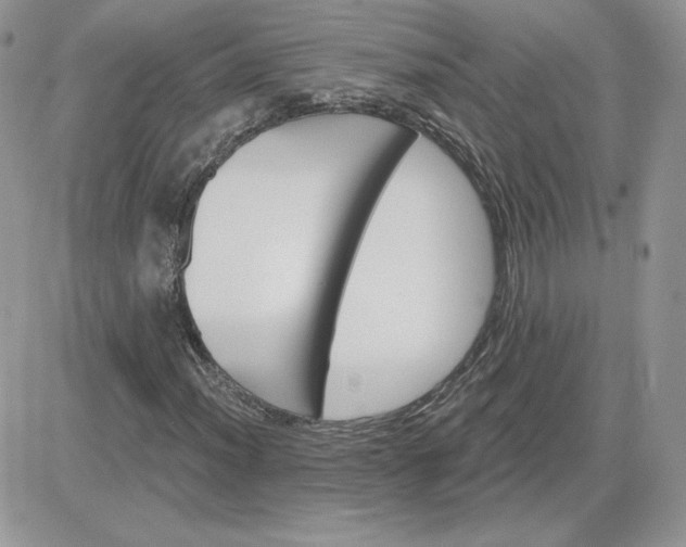 X0000081441012200701261842
