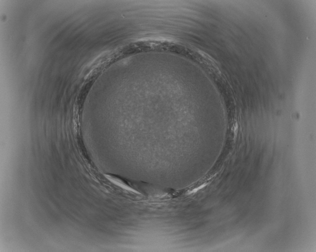 X0000081441014200701261842