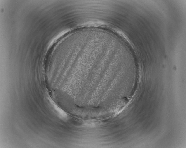 X0000081441018200701261842