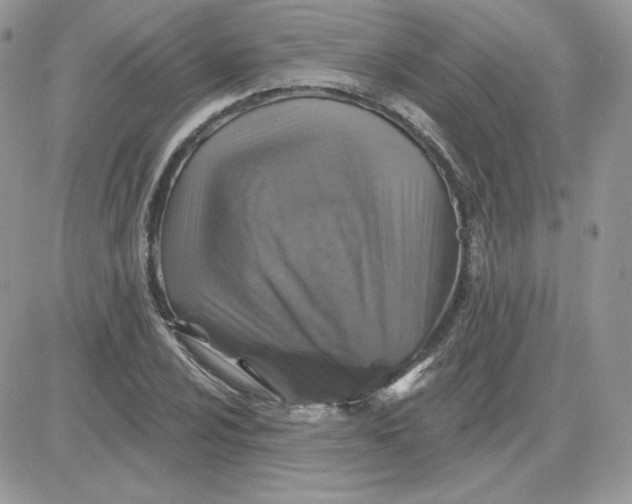 X0000081441024200701261842