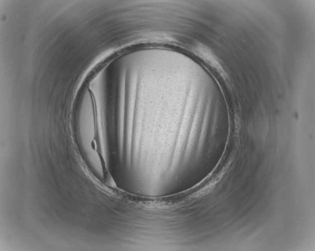X0000081441029200701261842