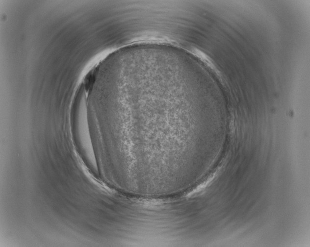 X0000081441030200701261842
