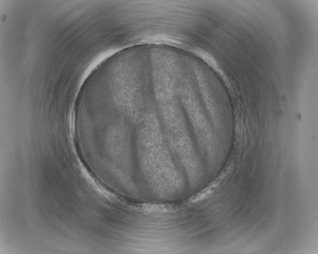 X0000081441032200701261842