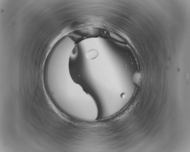 X0000081441034200701261842