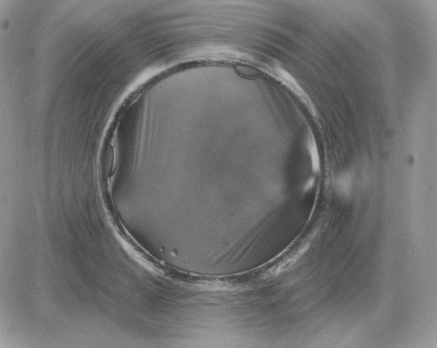 X0000081441037200701261842